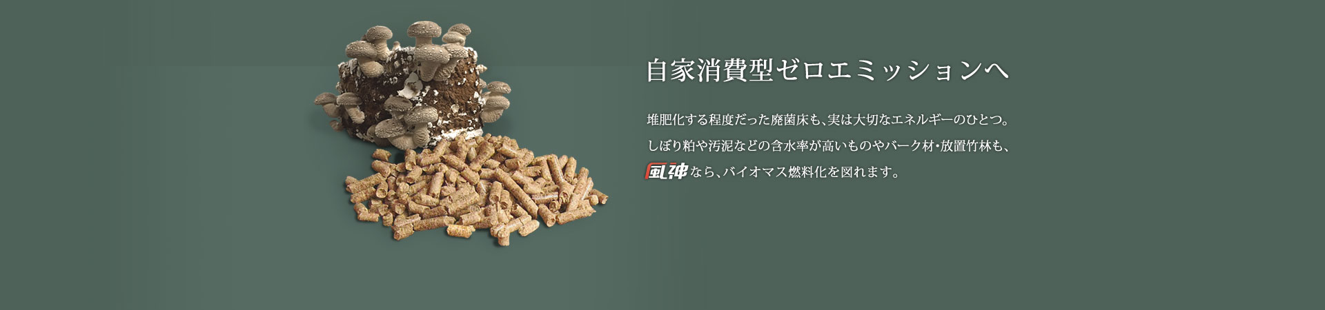 自家消費型ゼロエミッションへ