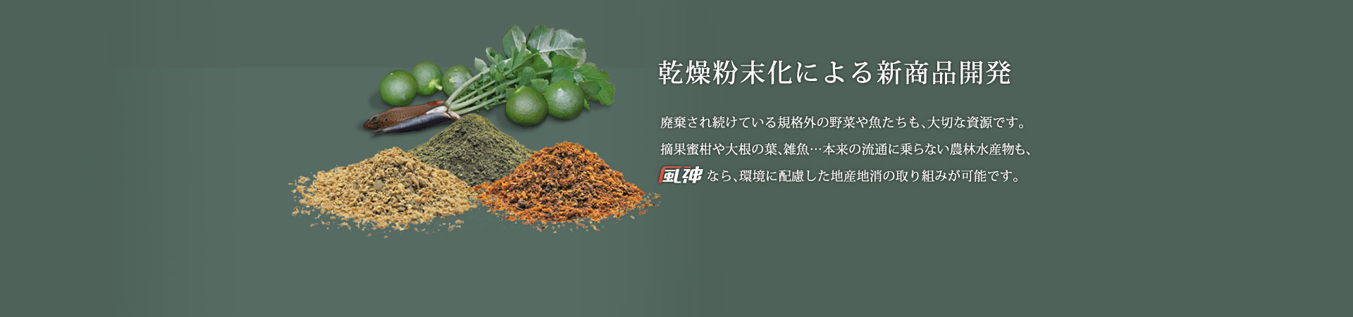 乾燥粉末化による新商品開発